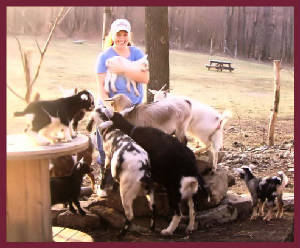 Julie (me) the Goat Herder