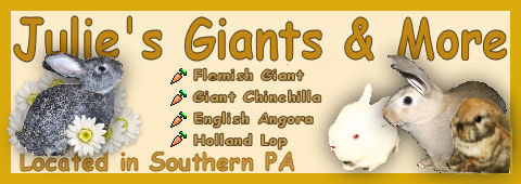 CLICK HERE TO GO TO JULIE'S GIANTS & MORE